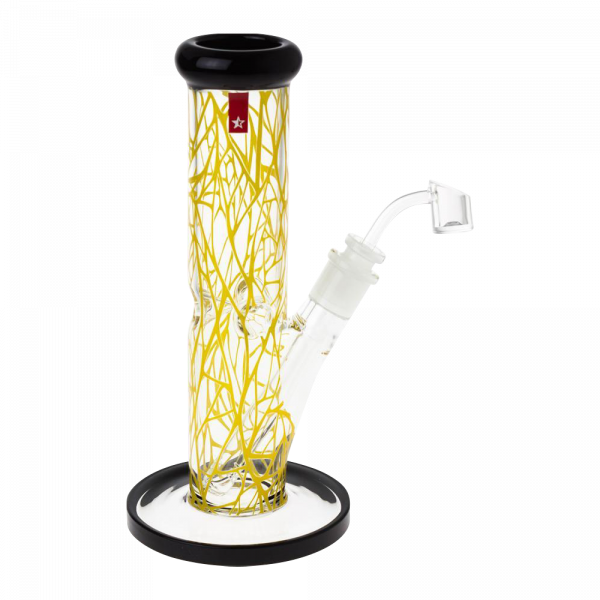 [WHITE][TRANSPARENT]