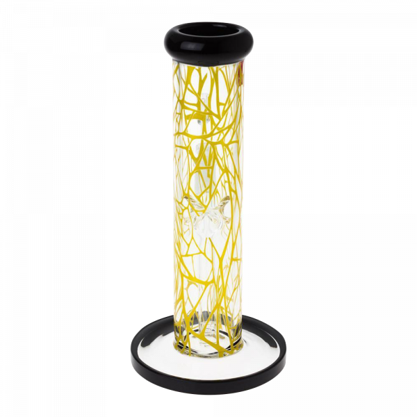 [WHITE][TRANSPARENT]